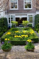 Jardin formel urbain au printemps avec Buxus tondu - Boîte parterre plantée de Tulipa 'Yellow Purissima', Tulipa 'Jan Siemerink', Tulipa 'Ivory Floradale'
