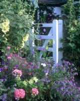 Portail en bois et parterre d'Alcea, Pelargonium et NIcotiana