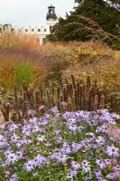 Nouvelle zone de plantation de plantes vivaces et de graminées conçue par Piet Oudolf - Trentham Gardens, Staffordshire, octobre