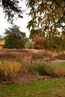 Nouvelle zone de vivaces et de graminées, conçue par Piet Oudolf - Trentham Gardens, Staffordshire, octobre