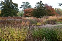 Nouvelle zone de vivaces et de graminées, conçue par Piet Oudolf - Trentham Gardens, Staffordshire, octobre