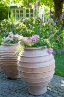 Grandes urnes en terre cuite plantées de plantes annuelles d'été