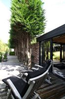 Transats sur terrasse en bois avec conifères taillés d'affilée - Hobrede, Hollande