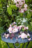 Malus et Myosotis - Fleur de pommier et Oubliez-moi Nots affichés sur la table de jardin