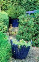 Panier de désherbage en osier peint en bleu et jardinière et siège peints en bleu - Veddw House Garden, Monmouthshire, Wales