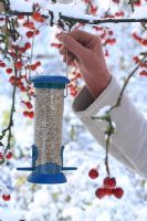 Accrocher une mangeoire à oiseaux avec des cœurs de tournesol dans un pommier sauvage en hiver