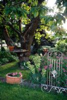 Jardin avec Prunus - Cerisier, Spiraea x bumalda et Euphorbia characias avec table de plantation