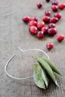 Faire un anneau décoratif de canneberge et de feuille de laurier - enfilez les feuilles de laurier sur le fil
