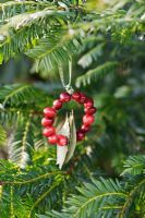 Faire un anneau décoratif de canneberge et feuille de laurier - décoration finie suspendue à un arbre avec ruban