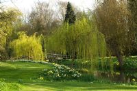 Lac dans le jardin de campagne au printemps. Great Thurlow Hall, Suffolk, Royaume-Uni