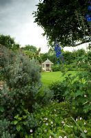 Jardin avec Delphinium, Géranium et Ozothamnus 'Silver Jubilee' en parterre de fleurs. Parsons Cottage
