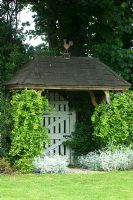 Lonicera - Chèvrefeuille grandissant arche en bois avec porte en dessous à Parsons Cottage