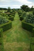 Portrait de chemin d'herbe large bordé de Taxus ondulés - couverture d'if. Jardin Robinson, Ousden House, Suffolk