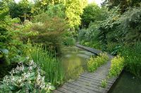 Étang avec jet de fontaine et chemin en bois. Hosta au premier plan. Jardin Robinson, Ousden House, Suffolk