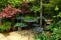 Petit jardin urbain avec coin salon et plantation d'Acer et Hostas - jardin NGS, Foster Road, Peterborough, Cambridge