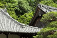 Pins et toits de temple dans le jardin du tigre bondissant, conçu par Kobori Enshu - Nanzen-ji, Kyoto, Japon