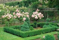 Jardin topiaire formel avec Buxus et Rosa 'Ballerina' formés comme normes - Le Prieuré, Wiltshire