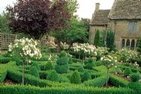 Rose formelle et jardin topiaire avec des roses formées comme normes - The Priory, Wiltshire
