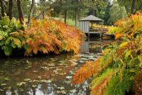 Le jardin Savill, Windsor Great Park