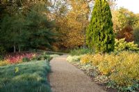 La passerelle du jardin d'hiver en automne, avec des plantations colorées de chaque côté - The Savill Garden, Windsor Great Park