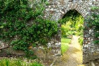 Chemin à travers le mur soutenant des fruits formés. Clovelly Court, Bideford, Devon, Royaume-Uni