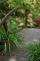 Pont en bois dans un jardin de style oriental avec Acers, Azalea et Pieris. Jardin de Newton. Walsall, Royaume-Uni