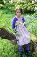 Jeune fille, séance, sur, tronc arbre, à, fleur pommier