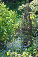 Canne wigwam en parterre de fleurs. Jardin des canards colverts, mai