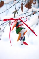 Piment et anneau de ruban attaché à une branche d'arbre. Décorations de Noël en plein air