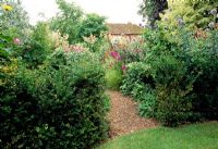 Parterres de fleurs avec vivaces de fin d'été, haie d'if et chemin