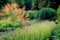 Stipa gigantea, Sedum 'Herbstfreude', Lavandula 'Munstead', Miscanthus sinensis - Weir House, Hants
