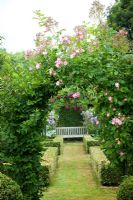 Jardin Rosalie Fiennes dans le Somerset avec Rosa 'Minnehaha' poussant sur arc en potager parterre