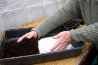 Mélange de vermiculite et de compost pour les boutures de Dahlia