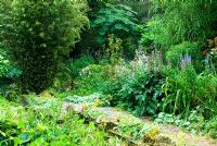 Étang avec fougères, nénuphars, Alchemilla mollis et bambous et aralias au-delà. Jardin Pinsla, Cardinham, Cornwall, UK