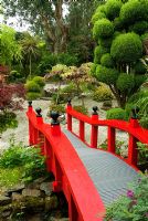 Des conifères taillés en nuage encadrent un pont Nikko rouge vif dans le jardin japonais. Le Croft, Yarnscombe, Devon, UK
