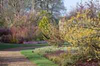 Parterre d'hiver de Viburnum bodnantense 'Deben', Rhododendron 'Airy Fairy', Erica carnea 'December Red', Cornus sericea 'Cardinal', Hamamelis intermedia 'Moonlight' et Hamamelis intermedia 'Pallida'