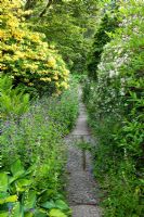 Chemin pavé entre le parterre de fleurs d'été. La Garden House, Devon.