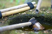 Bassin en pierre moussue avec becs et cuillère en bambou