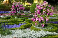Roses formées dans des parterres de fleurs à bord, Alyssum, Antirrhinum, Begonia semperflorens, Buxus, Heliotropium, Impatiens, Nemesia et Salvia farinacea - Weihenstephan Gardens