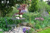 Coin salon avec gravier dans le jardin de printemps avec Rhododendron yakushimanum 'Nicoletta', Acer palmatum 'Atropurpurea', Rhododendron russatum 'Azurwolke' et Symphytum grandiflorum 'Blaue Glocken'