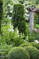 Arc en pierre, Campanula latifolia, Taxus - Colonnes d'if, Buxus sempervirens - Boîtes de balles, Géranium 'Roxanne'