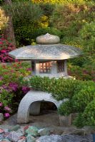Lanterne en pierre dans un jardin japonais - Azalea japonica et Pinus sylvestris