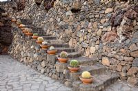 Marches en pierre de lave, bordées de pots en argile plantés de cactus, dont Ferocactus - El Jardin de Cactus, Lanzarote, Îles Canaries.