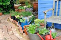 Coin jardin avec chemin de briques récupérées et cabanon bleu, avec des herbes en pot et des légumes à salade, Norfolk, Angleterre, mai