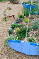 Jardin à thème nautique avec des bateaux plantés de plantes vivaces et d'herbes, Norfolk, Angleterre, juin
