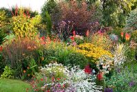 Le jardin englouti comprend un mélange dynamique de vivaces colorées, notamment des Rudbeckias, des Eryngiums, des Kniphofias, des Crocosmias et des Echinacea. Poppy Cottage Garden, péninsule de Roseland, Cornwall, UK