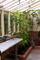 Maigre à effet de serre nouvellement construit pour rempoter et faire pousser des tomates. Le jardin secret de Serles House, Wimborne, Dorset, UK