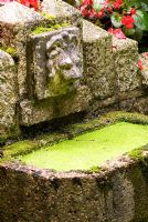 Le bec de la tête de lion se vide dans un petit étang recouvert de mauvaises herbes émeraude. Le jardin secret de Serles House, Wimborne, Dorset, UK