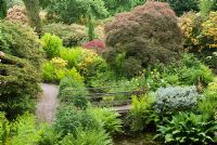Le Rootery - un dell entourant une piscine avec pont et plantation dense avec Azalea, Acer palmatum, Lysichiton americanum et Osmunda regalis à Arley Hall and Gardens, Cheshire