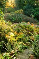 Le Dell, à l'origine creusé comme source de briques, d'argile et de silex, l'étang est entouré de fougères, d'hostas et d'arbustes, dont des hortensias, du cotonéaster et du choisya. Larmer Tree Gardens, Tollard Royal, Salisbury, Wilts, Royaume-Uni